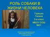 Роль собаки в жизни человека