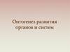 Онтогенез развития органов и систем