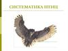Классификация птиц