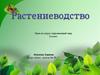 Сельское хозяйство. Растениеводство