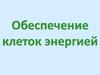 Обеспечение клеток энергией