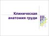 Клиническая анатомия груди
