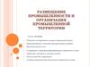 Размещение промышленности и организация промышленной территории