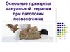 Основные принципы мануальной  терапии при патологии позвоночника