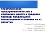Стратегическое предпринимательство в компаниях малого и среднего бизнеса: предпосылки возникновения и влияние на их развитие