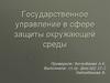 Государственное управление в сфере защиты окружающей среды