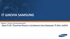 Основы программирования. Понятие блока и условные конструкции: if else, switch