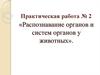Распознавание органов и систем органов у животных