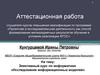 Аттестационная работа. Элективный курс по информатике «Исследование информационных моделей»