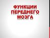 Функции переднего мозга