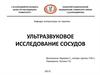 Ультразвуковое исследование сосудов