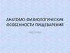 Анатомо-физиологические особенности пищеварения