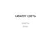 Каталог цветов. Букеты
