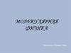 Молекулярная физика