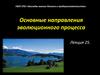 Основные направления эволюционного процесса