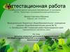 Аттестационная работа. Программа внеурочной деятельности в начальной школе. По общеинтеллектуальному направлению