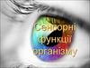 Сенсорные функции организма. Виды анализаторов