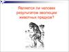 Является ли человек результатом эволюции животных предков?