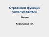 Строение и функции сальной железы