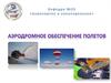 Аэродромное обеспечение полетов