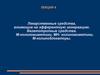 Лекарственные средства, влияющие на эфферентную иннервацию. Вегетотропные средства. М-холиномиметики, МН- холиномиметики