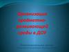 Организация предметно-развивающей среды в ДОУ