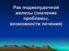 Рак поджелудочной железы (значение проблемы, возможности лечения)