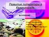 Развитие литературы в Калининграде