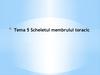 Tema 5. Scheletul membrului toracic