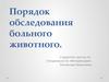 Порядок обследования больного животного