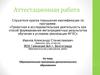 Аттестационная работа. Образовательная программа дополнительного образования «Ментальная арифметика»