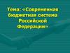 Современная бюджетная система РФ