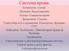 Система крови. Количество. Состав. Функции. Кроветворение. Плазма. Сыворотка крови. Эритроциты. Гемолиз