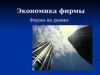 Экономика фирмы. Фирма на рынке. Рыночные структуры