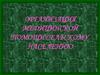 Организация медицинской помощи сельскому населению