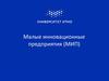 Малые инновационные предприятия