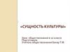 Сущность культуры