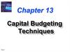 Capital Budgeting Techniques Capital Budgeting Techniques