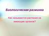 Разнообразие водорослей, их значение в природе и жизни человека