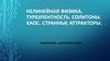 Нелинейная физика. Турбулентность. Солитоны. Хаос. Странные аттракторы
