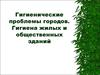 Гигиенические проблемы городов. Гигиена жилых и общественных зданий