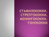 Стафилококки. Стрептококки. Менингококки. Гонококки