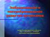 Эмбриональное и постэмбриональное развитие организмов