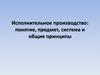 Исполнительное производство: понятие, предмет, система и общие принципы