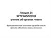 Эстезиология. Учение об органах чувств