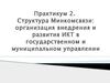 Структура Минкомсвязи: организация внедрения и развития ИКТ в государственном и муниципальном управлении