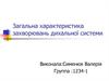 Загальна характеристика захворювань дихальної системи