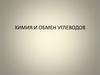 Химия и обмен углеводов. Функции углеводов