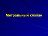 Митральный клапан