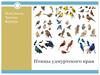 Птицы удмуртского края